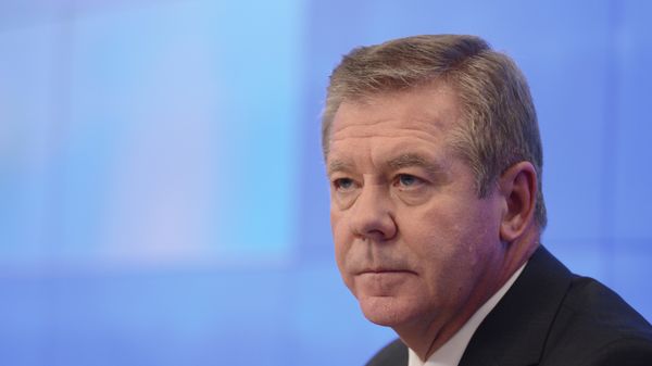 News confernce by Russian Deputy Foreign Minister Gennady Gatilov - Sputnik International