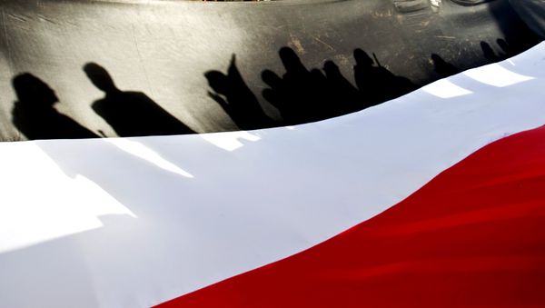A large representation of the Yemeni flag A large representation of the Yemeni flag - Sputnik International