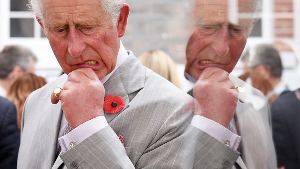 Britain's Prince Charles - Sputnik International