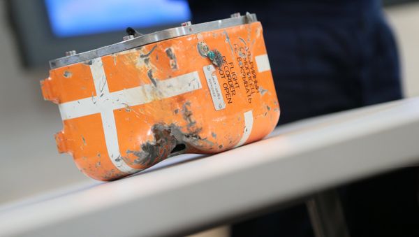 The Russian Ministry of Defense is holding a briefing Friday on the investigation regarding the Su-24 downing by Turkey and the black boxes decoding. The Russian Ministry of Defense is holding a briefing Friday on the investigation regarding the Su-24 downing by Turkey and the black boxes decoding. - Sputnik International