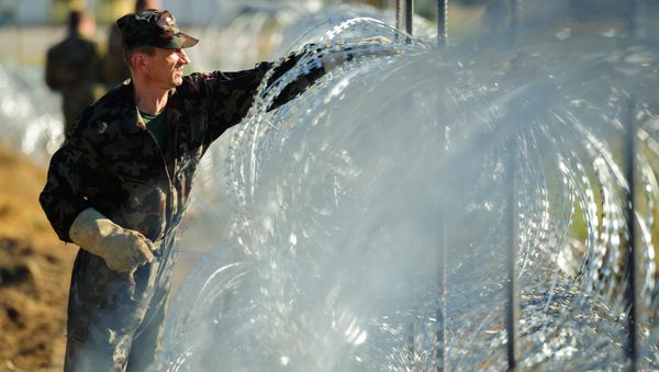 Slovenian soldiers build a razor wire fence on the Slovenian-Croatian border in Gibina, northeastern Slovenia, on November 11, 2015 - Sputnik International