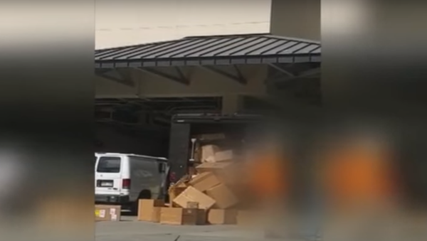 UPS Driver is Not in the Holiday Spirit - Sputnik International