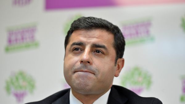 Co-chair of the pro-Kurdish People's Democratic Party (HDP) Selahattin Demirtas. Co-chair of the pro-Kurdish People's Democratic Party (HDP) Selahattin Demirtas. - Sputnik International