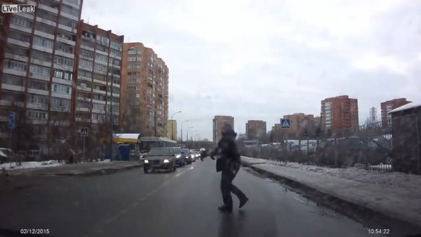 Good Russian man helped the dog to move her puppy across the street - Sputnik International