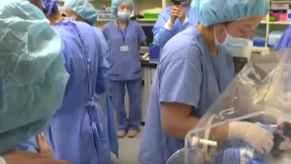 First British puppy to be cloned from a dead pet dog - Sputnik International