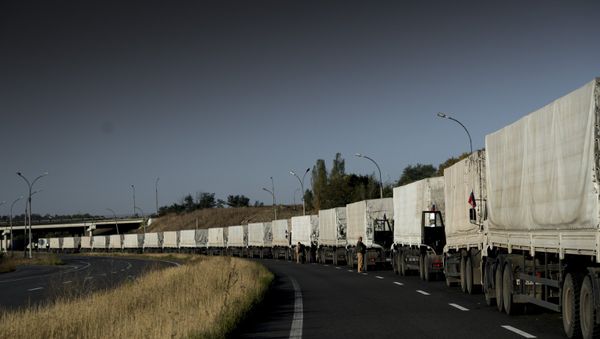 Third humanitarian aid convoy arrives in Ukraine - Sputnik International