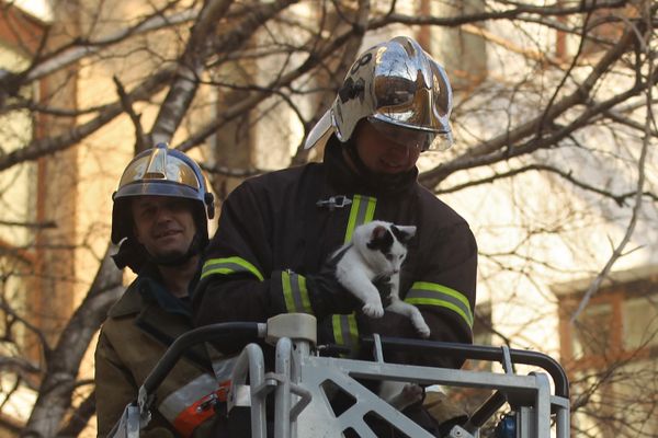 Battling Disasters, Saving Lives: Emergency Rescue Workers of Russia - Sputnik International