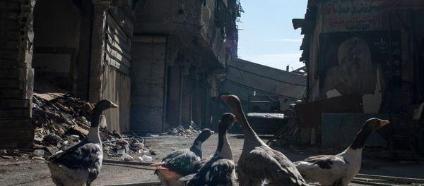 Syria update - Sputnik International