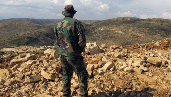 Hezbollah fighter looks toward Syria while standing in the fields of the Lebanese border village of Brital, Lebanon. (File) Hezbollah fighter looks toward Syria while standing in the fields of the Lebanese border village of Brital, Lebanon. (File) - Sputnik International