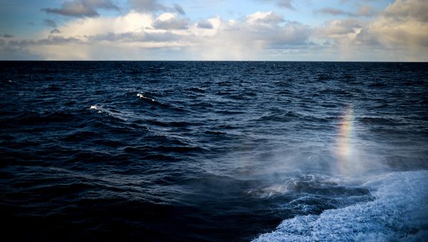 North Sea - Sputnik International