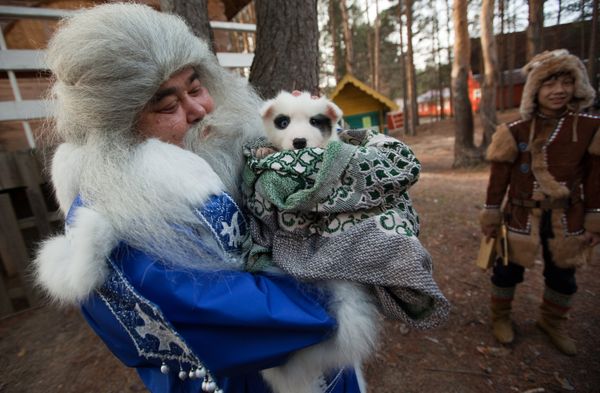 Yamal Iri from Salekhard brings a puppy as a present for Father Frost's birthday at his residence in Veliky Ustyug - Sputnik International