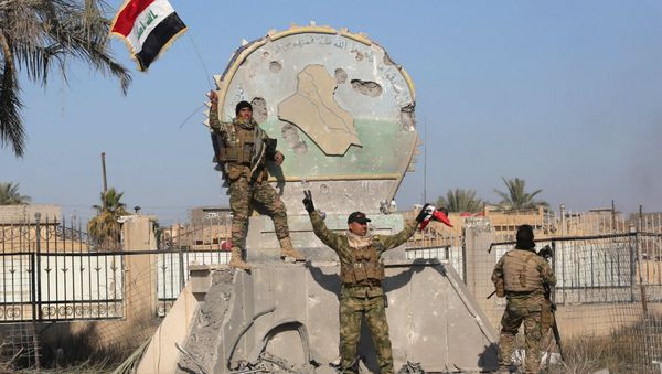 A member of the Iraqi security forces holds an Iraqi flag at a government complex in the city of Ramadi, December 28, 2015 - Sputnik International