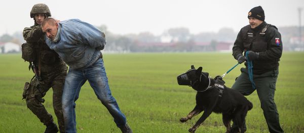 A Slovak soldier (L) and a Slovak policeman (R) with a dog detain a man playing the role of an illegal migrant during a joint exercise of Slovak police and Slovak Army, focused on protecting public order at the borders near Bratislava, on October 29, 2015 A Slovak soldier (L) and a Slovak policeman (R) with a dog detain a man playing the role of an illegal migrant during a joint exercise of Slovak police and Slovak Army, focused on protecting public order at the borders near Bratislava, on October 29, 2015 - Sputnik International