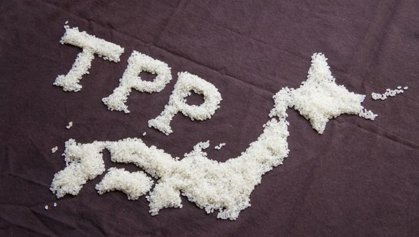 TPP TPP - Sputnik International