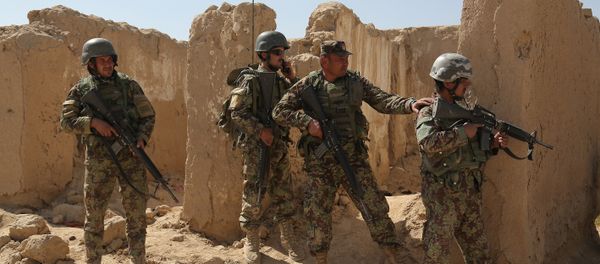 Afghanistan National Army (ANA) soldiers Afghanistan National Army (ANA) soldiers - Sputnik International