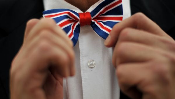 Pro-Europe Lobby in Britain Pro-Europe Lobby in Britain - Sputnik International