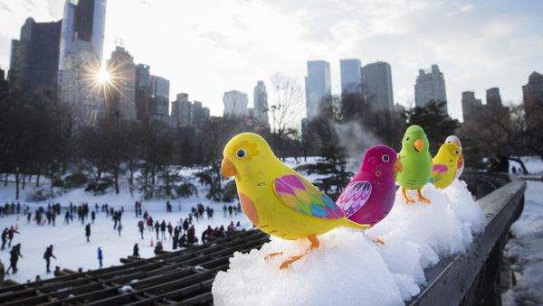 Winter Delight: Ice Skating Rinks Across the World - Sputnik International