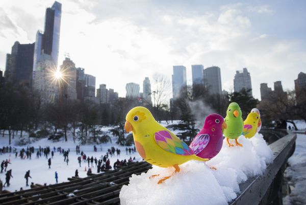 Winter Delight: Ice Skating Rinks Across the World - Sputnik International