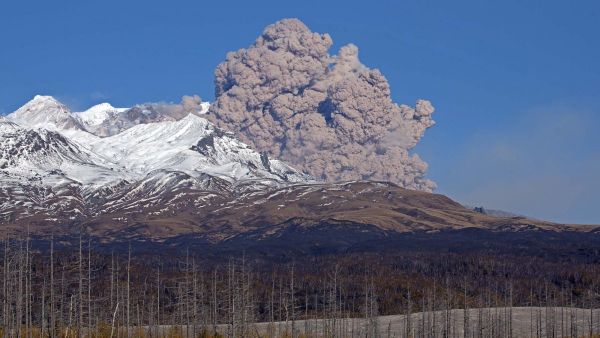  Shiveluch Volcano - Sputnik International
