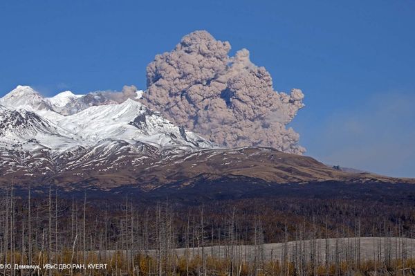 Shiveluch Volcano Shiveluch Volcano - Sputnik International