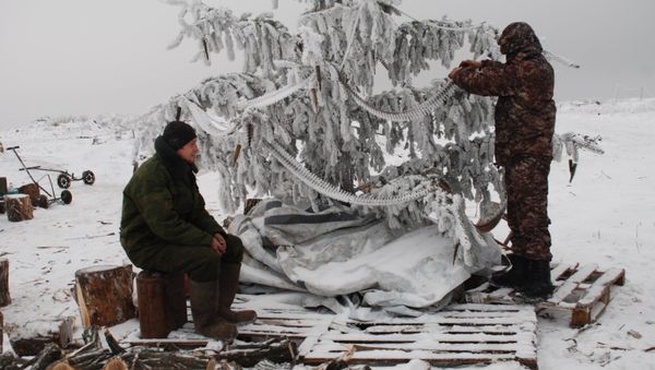 DPR militiamen on demarcation line - Sputnik International