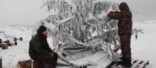 Donetsk soldiers decorate a tree with bullets near the contact line with the positions of the Ukrainian Armed Forces. - Sputnik International