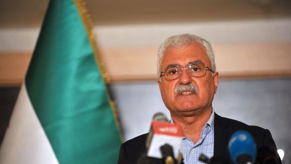 Syrian opposition representative George Sabra. (File) Syrian opposition representative George Sabra. (File) - Sputnik International