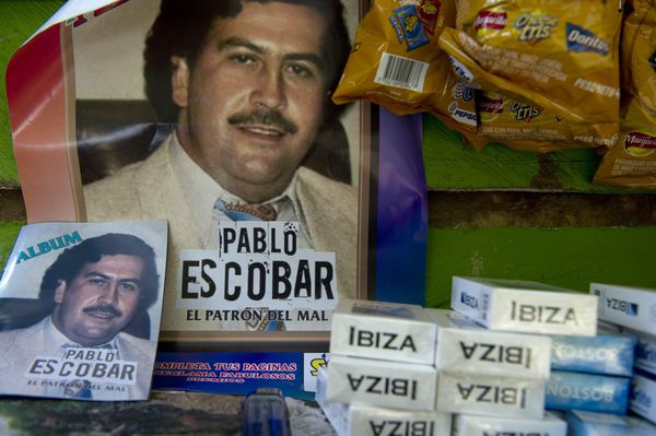 Escobar's Legacy: Colombian Scientists Urge to Stop Invasion of 'Cocaine Hippos', Reports Say Escobar's Legacy: Colombian Scientists Urge to Stop Invasion of 'Cocaine Hippos', Reports Say - Sputnik International