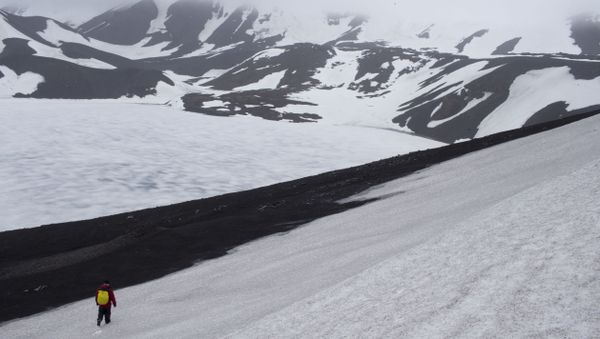 In this Jan. 24, 2015 photo, Peter Convey, an ecologist for the British Antarctic Survey, searches for samples on Deception Island, part of the South Shetland Islands archipelago in Antarctica - Sputnik International