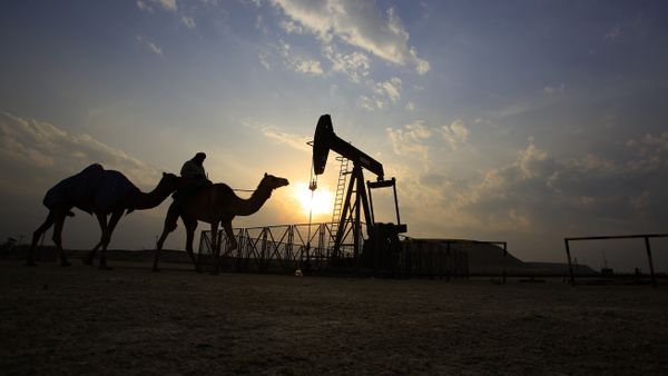 A man rides a camel through the desert oil field and winter camping area of Sakhir, Bahrain, Sunday, Dec. 20, 2015 - Sputnik International