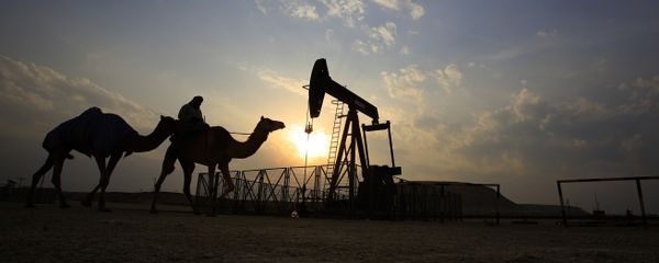 A man rides a camel through the desert oil field and winter camping area of Sakhir, Bahrain, Sunday, Dec. 20, 2015 A man rides a camel through the desert oil field and winter camping area of Sakhir, Bahrain, Sunday, Dec. 20, 2015 - Sputnik International