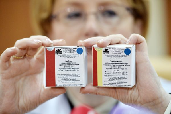 Russian Healthcare Minister Veronika Skvortsova demostrates Anti-Ebola fever vaccine packages at Gamalei Research Institute of Epidemiology and Microbiology Russian Healthcare Minister Veronika Skvortsova demostrates Anti-Ebola fever vaccine packages at Gamalei Research Institute of Epidemiology and Microbiology - Sputnik International