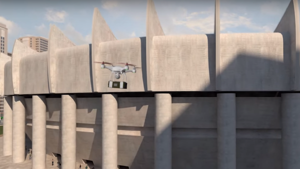 Selex's Falcon Shield promises to protect vulnerable targets from errant drones. - Sputnik International