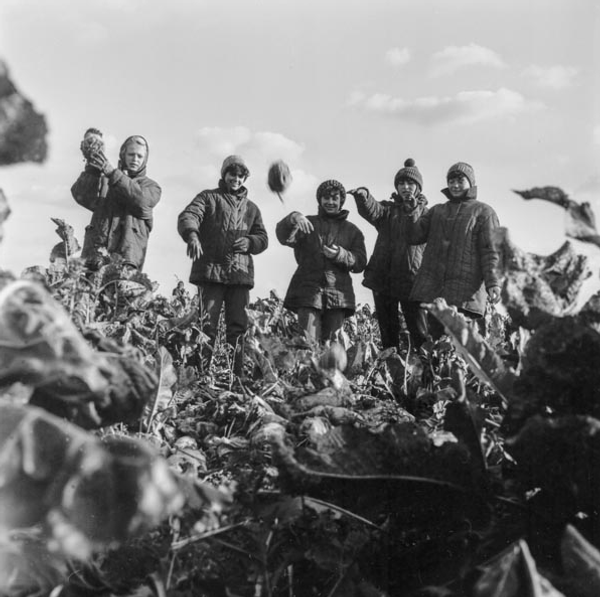 Vibrant Life of Soviet Students in Pictures Vibrant Life of Soviet Students in Pictures - Sputnik International