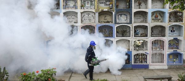 A specialist fumigates the Nueva Esperanza graveyard in the outskirts of Lima on January 15, 2016. Health officials fumigated the largest cementery in Peru and second largest in the world to prevent Chikunguya and Zika virus, which affect several South American countries - Sputnik International