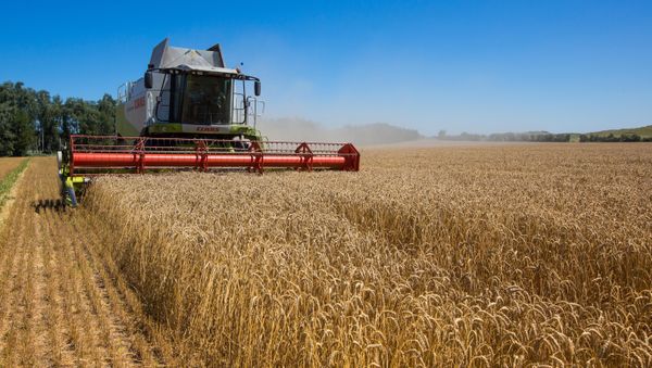 (FILES) This picture taken on July 23, 2013 in the Khmelnytskyi region displays a harvester in a field - Sputnik International