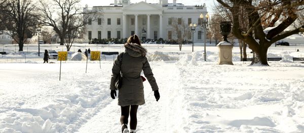 A woman walks a snowy path toward the White House in Washington January 25, 2016. The Washington area is digging out from the weekend blizzard A woman walks a snowy path toward the White House in Washington January 25, 2016. The Washington area is digging out from the weekend blizzard - Sputnik International