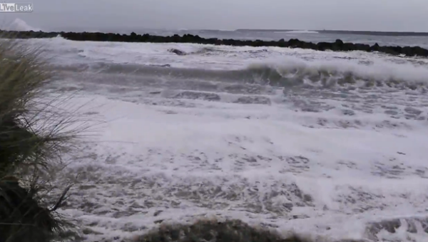 Sneaker Wave in Oregon - Sputnik International