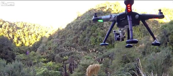 Drone shot down while filming - Sputnik International