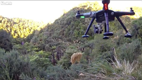 Drone shot down while filming - Sputnik International
