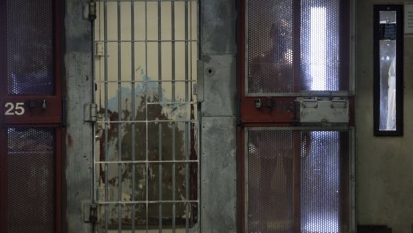 An inmate looks out from his cell in the Security Housing Unit (SHU) at Corcoran State Prison in Corcoran, California in this October 1, 2013 file photo - Sputnik International