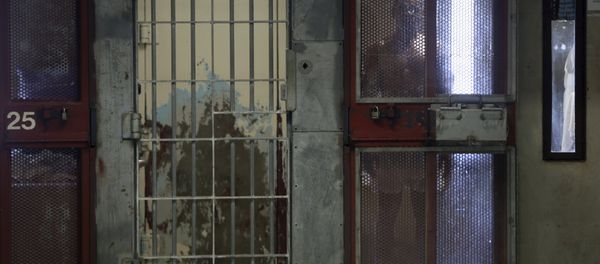 An inmate looks out from his cell in the Security Housing Unit (SHU) at Corcoran State Prison in Corcoran, California in this October 1, 2013 file photo An inmate looks out from his cell in the Security Housing Unit (SHU) at Corcoran State Prison in Corcoran, California in this October 1, 2013 file photo - Sputnik International