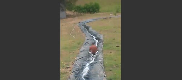 Homemade Slip N Slide. - Sputnik International