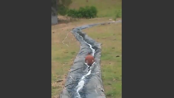 Homemade Slip N Slide. - Sputnik International
