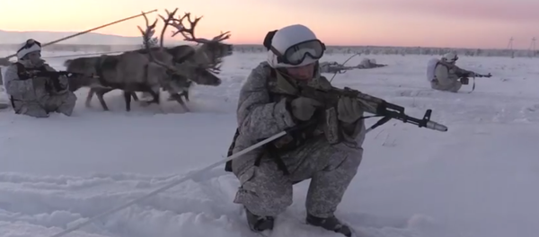 Russian Arctic Troops Hold Training With Husky Dogs, Reindeers Russian Arctic Troops Hold Training With Husky Dogs, Reindeers - Sputnik International