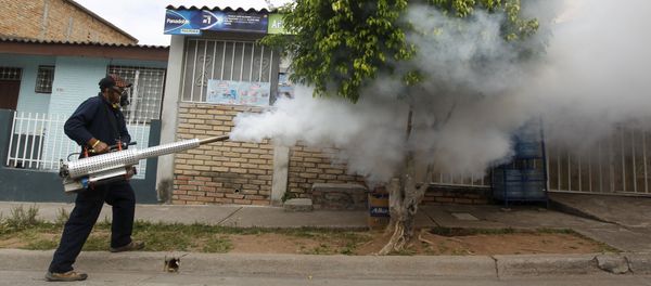 A municipal health worker carries out fumigation on a street as part of the city's efforts to prevent the spread of the Zika virus vector, the Aedes aegypti mosquito, in Tegucigalpa, Honduras, January 30, 2016 - Sputnik International