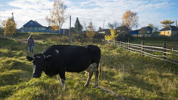 Fall in Russia's Omsk Region Fall in Russia's Omsk Region - Sputnik International