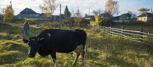 Fall in Russia's Omsk Region - Sputnik International