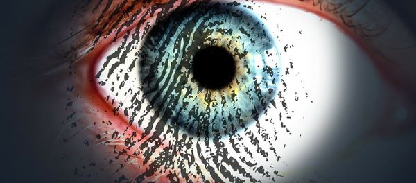 Surveillance - Sputnik International