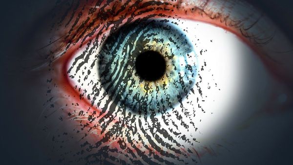 Surveillance - Sputnik International